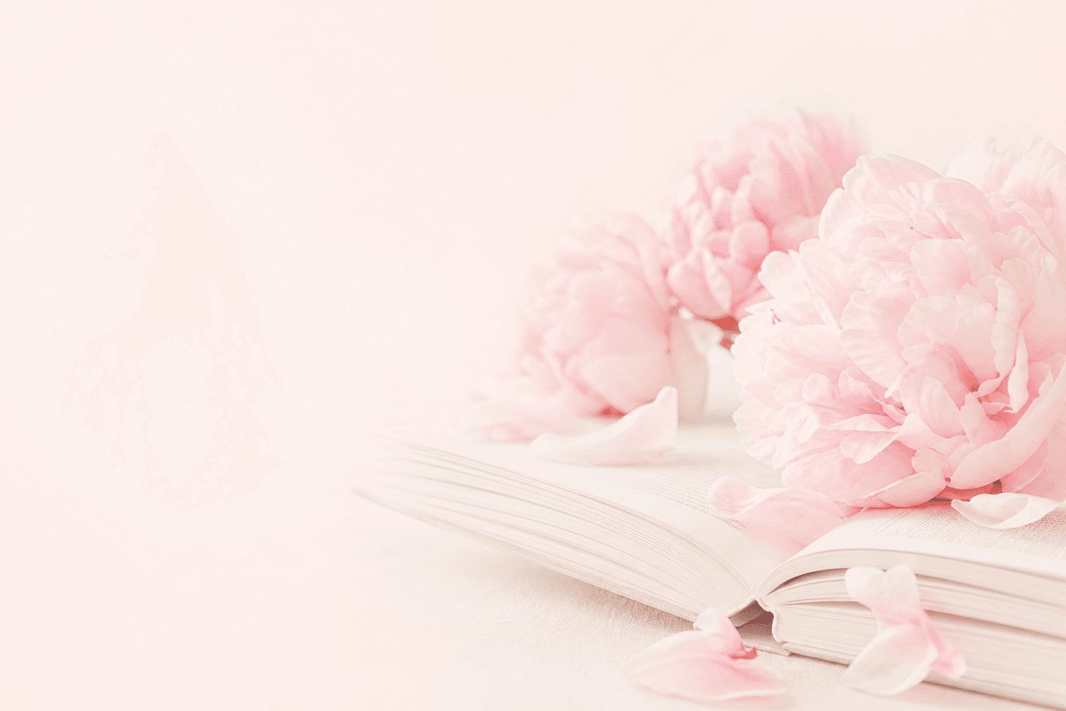 Open book with peonies — soft editorial accent for the Learn section